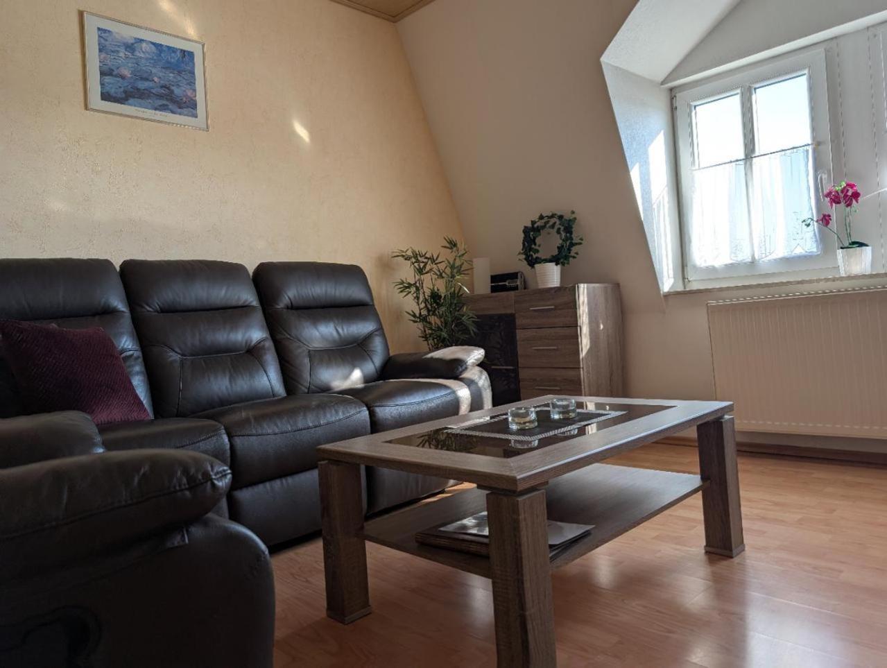 Ambiente-An-Der-Elbe-Wohnung-Og เดรสเดน ภายนอก รูปภาพ