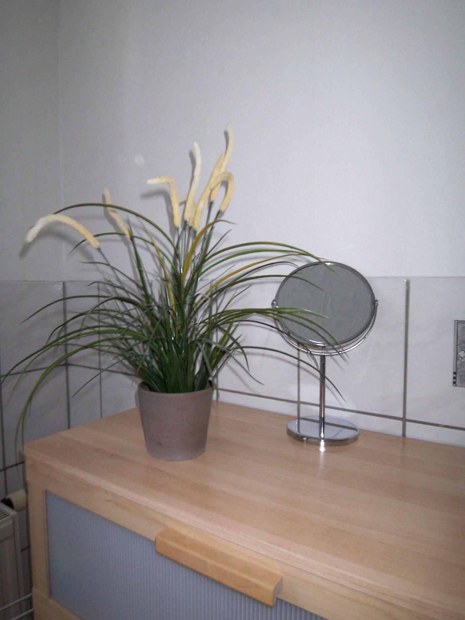 Ambiente-An-Der-Elbe-Wohnung-Og เดรสเดน ภายนอก รูปภาพ